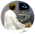 sve usluge - ekspertni ultrazvucni pregled